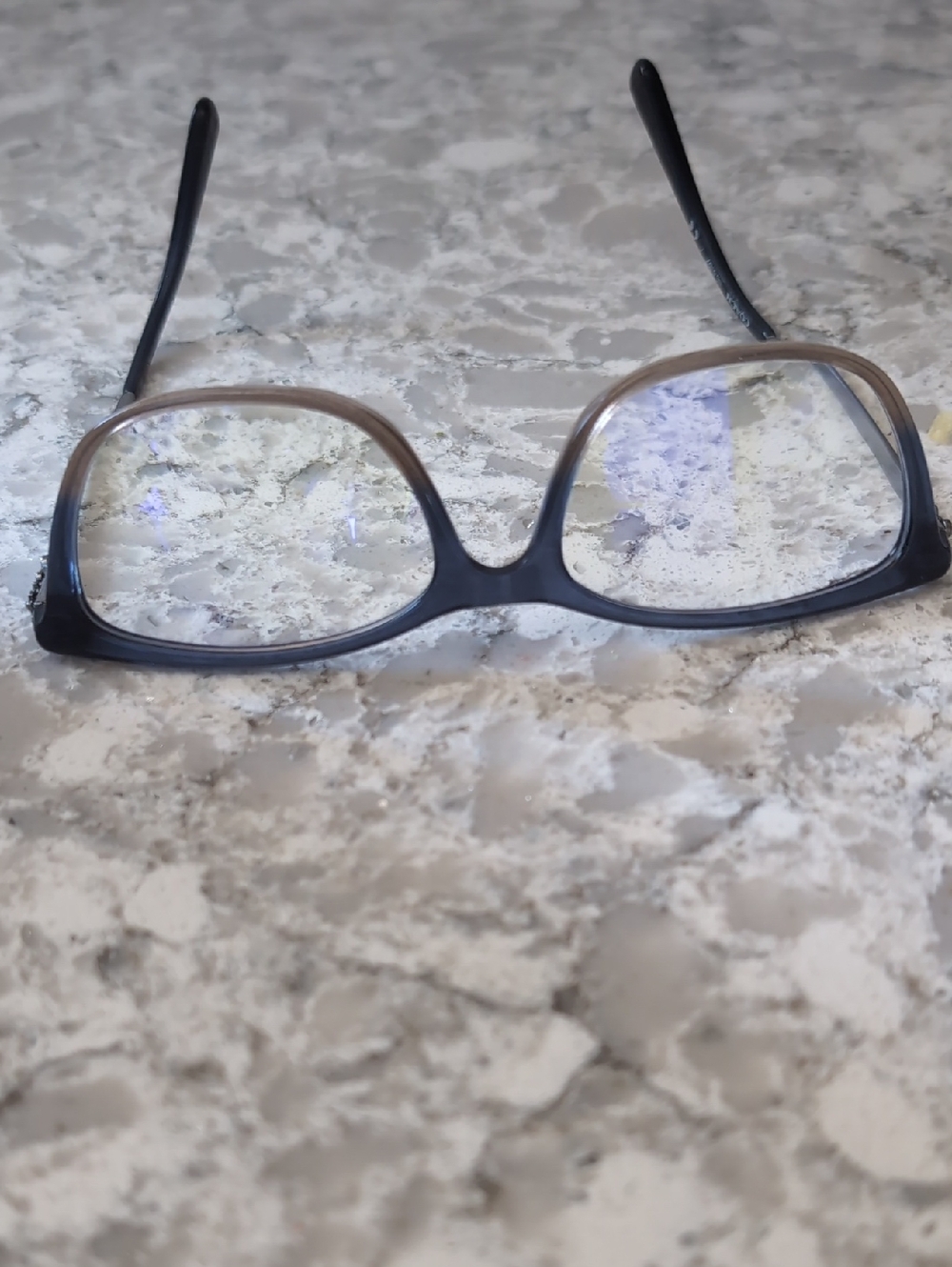 Coach Women's Eyeglasses — Blue with Brown Fade